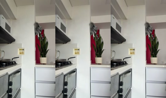1132380594 Bigo Live — Sep 28, 2026, 3:23 PM