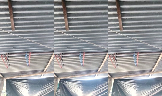 1132572918 Bigo Live — Sep 23, 2026, 2:51 PM