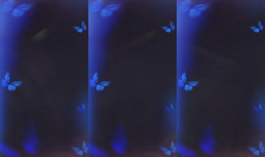 1134285174 Bigo Live — Sep 16, 2026, 5:56 PM