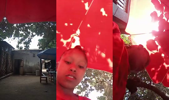 1136253218 Bigo Live — Sep 24, 2026, 10:12 AM