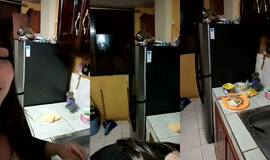 1136730944 Bigo Live — Oct 15, 2026, 12:31 AM