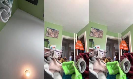 1136937401 Bigo Live — Oct 23, 2026, 3:59 PM