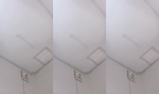 1141343893 Bigo Live — Oct 12, 2026, 7:21 AM