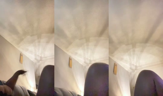 1142222813 Bigo Live — Oct 28, 2026, 8:14 PM