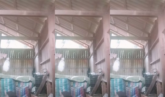 1142440477 Bigo Live — Oct 24, 2026, 6:26 AM