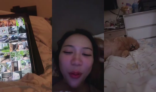 149695856 Bigo Live — Aug 31, 2026, 5:50 PM