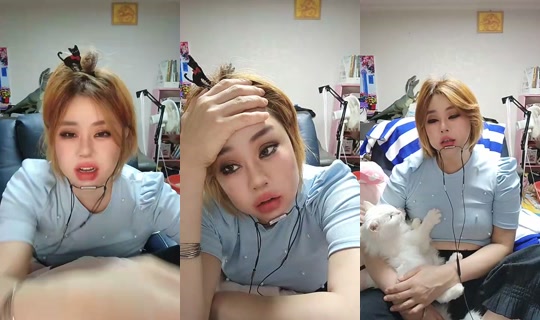 159088655 Bigo Live — Sep 16, 2026, 4:53 PM