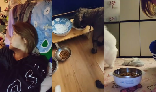 159088655 Bigo Live — Sep 28, 2026, 6:27 PM