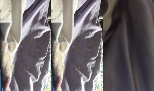 175890157 Bigo Live — Aug 29, 2026, 7:53 PM