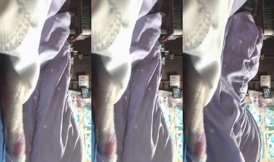 175890157 Bigo Live — Aug 29, 2026, 10:26 PM