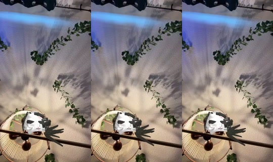 305bandit Bigo Live — Aug 13, 2026, 2:15 PM