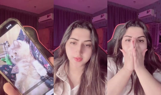 331423855 Bigo Live — Oct 3, 2026, 1:13 AM