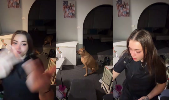 696969xxbabe Bigo Live — Jul 22, 2026, 12:41 PM