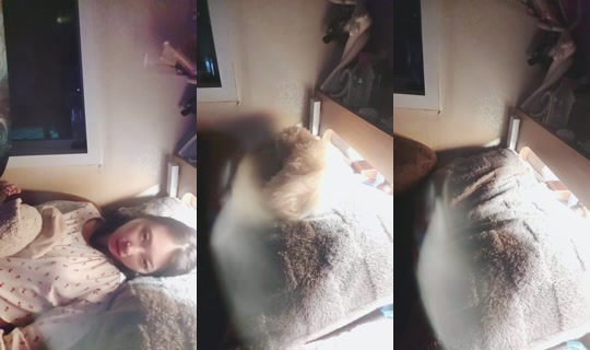 706244589 Bigo Live — Sep 25, 2026, 4:17 PM