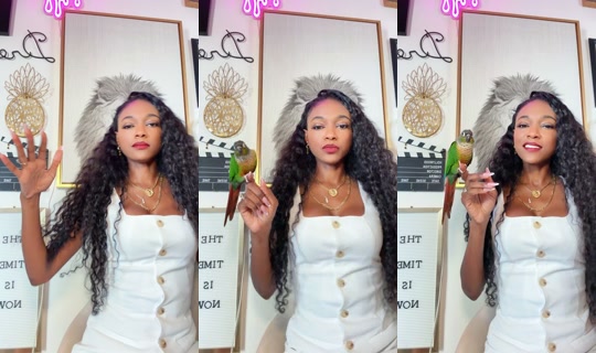 731443463 Bigo Live — Sep 6, 2026, 3:42 PM