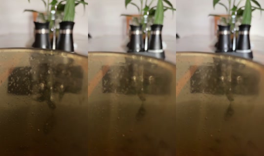 821482757 Bigo Live — Sep 6, 2026, 4:27 PM