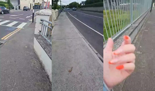 840709226 Bigo Live — Jul 28, 2026, 12:37 PM