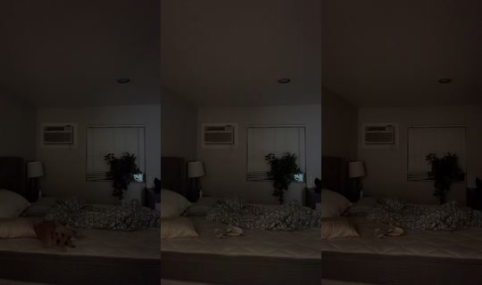 861456493 Bigo Live — Oct 12, 2026, 12:14 PM