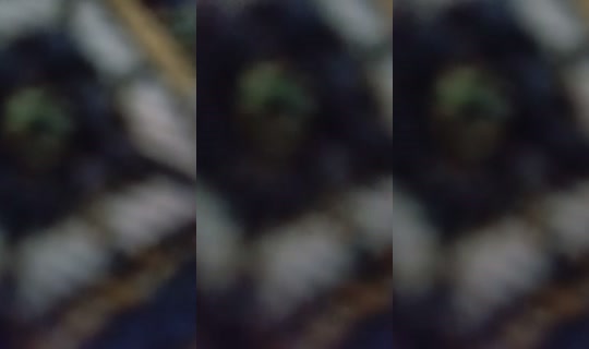 875868797 Bigo Live — Oct 16, 2026, 7:31 AM