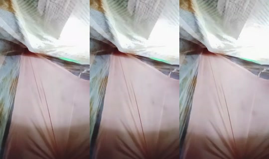 881556081 Bigo Live — Jul 21, 2026, 4:09 PM