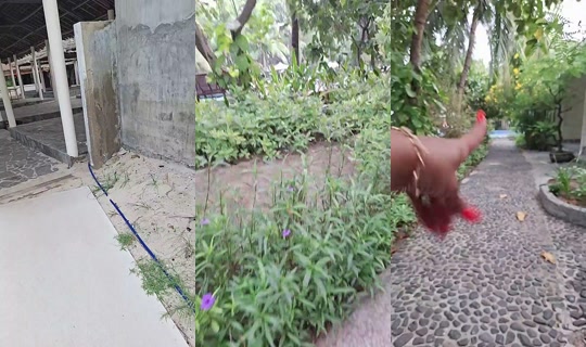 884273409 Bigo Live — Sep 14, 2026, 7:39 AM