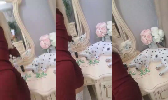 884273409 Bigo Live — Sep 28, 2026, 5:53 PM