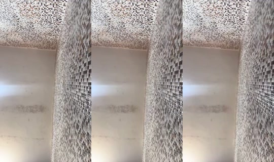 904011374 Bigo Live — Oct 25, 2026, 12:51 PM