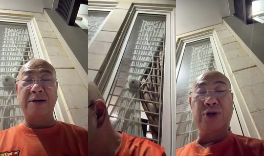 90637412 Bigo Live — Oct 29, 2026, 12:10 PM