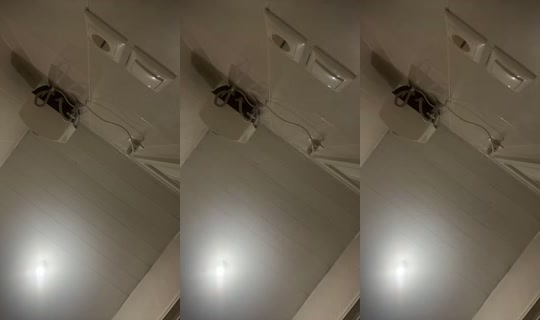90637412 Bigo Live — Oct 31, 2026, 12:21 PM