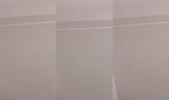906825366 Bigo Live — Jul 28, 2026, 7:20 PM