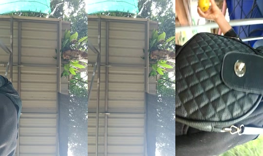 932078652 Bigo Live — Jul 29, 2026, 10:08 AM