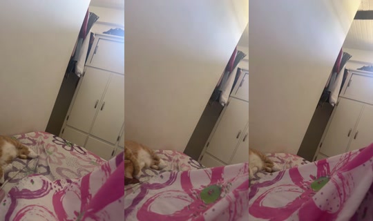 941866676 Bigo Live — Oct 28, 2026, 4:14 PM
