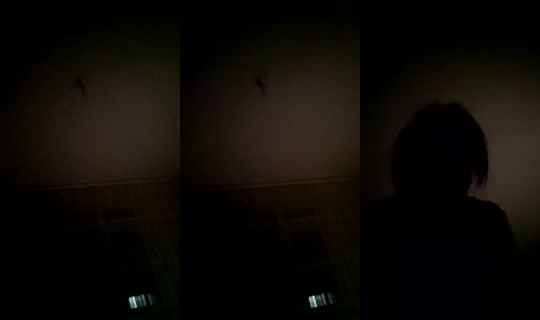 943892494 Bigo Live — Oct 25, 2026, 12:16 AM