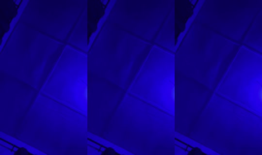 951545284 Bigo Live — Sep 13, 2026, 5:16 AM