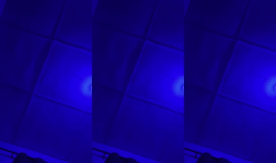 951545284 Bigo Live — Sep 21, 2026, 12:57 AM