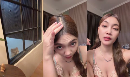 95731417 Bigo Live — Sep 16, 2026, 12:11 PM