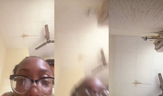 981092212 Bigo Live — Jul 21, 2026, 12:03 PM