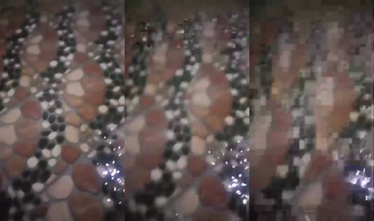 984548230 Bigo Live — Aug 22, 2026, 7:02 PM