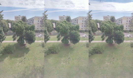 985560584 Bigo Live — Jul 21, 2026, 6:31 AM