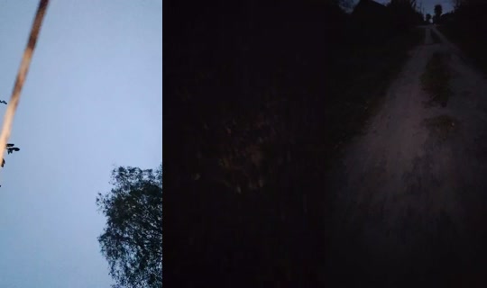 985560584 Bigo Live — Oct 16, 2026, 3:38 PM