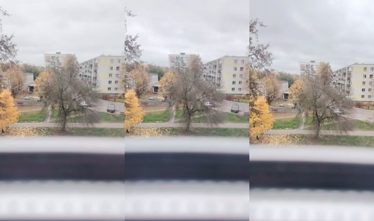 985560584 Bigo Live — Oct 21, 2026, 11:24 AM