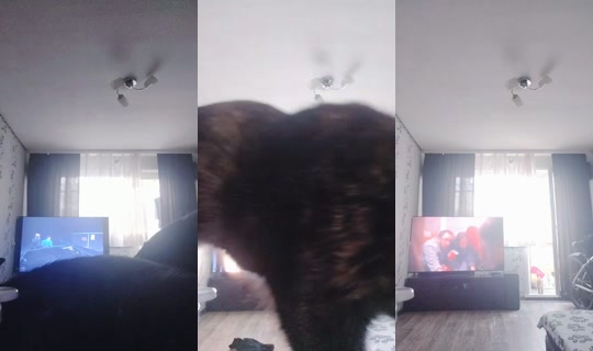 985560584 Bigo Live — Oct 29, 2026, 5:51 AM