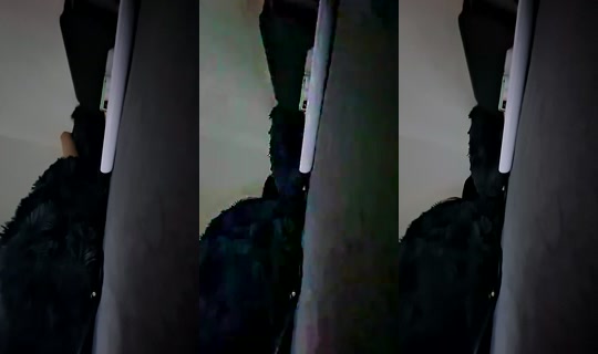 991896987 Bigo Live — Sep 6, 2026, 11:50 PM
