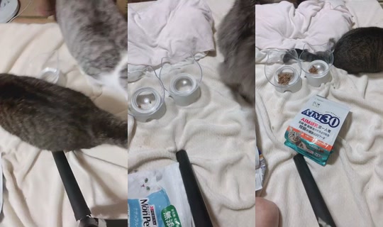 Ainyan888 Bigo Live — Sep 13, 2026, 10:39 AM