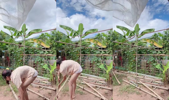 Asv_jam Bigo Live — Sep 15, 2026, 6:14 AM