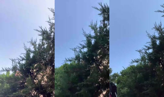 Birhayaledaldim Bigo Live — Jul 25, 2026, 2:24 PM