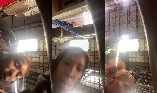 Browneyes1266 Bigo Live — Oct 28, 2026, 1:41 AM