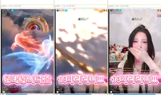 DOrrraHEE Bigo Live — Oct 17, 2026, 11:15 AM