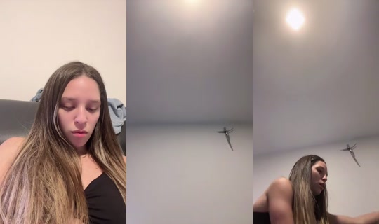 Diosavikinga Bigo Live — Oct 16, 2026, 11:00 PM