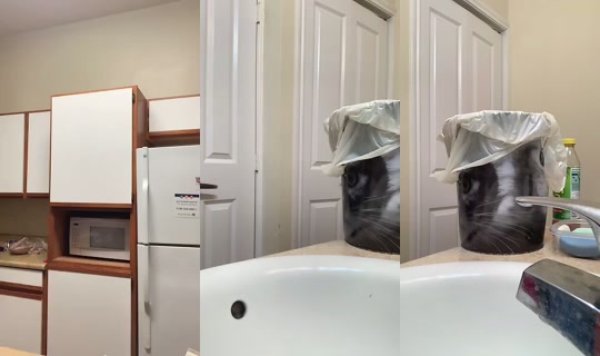Dontplaywitit2 Bigo Live — Oct 27, 2026, 2:41 PM